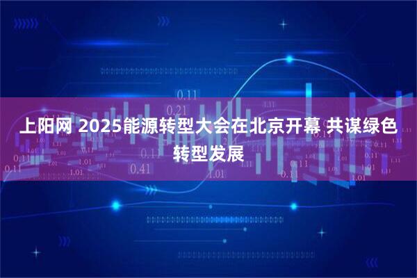 上阳网 2025能源转型大会在北京开幕 共谋绿色转型发展