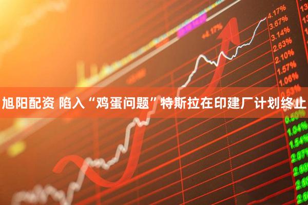 旭阳配资 陷入“鸡蛋问题”特斯拉在印建厂计划终止