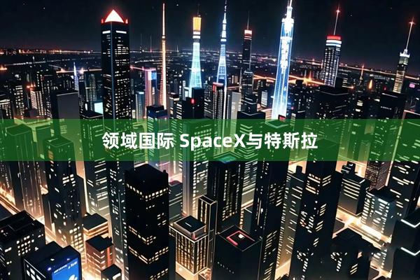 领域国际 SpaceX与特斯拉